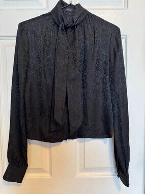 Aritzia LIKE NEW beautiful silk blouse xxs